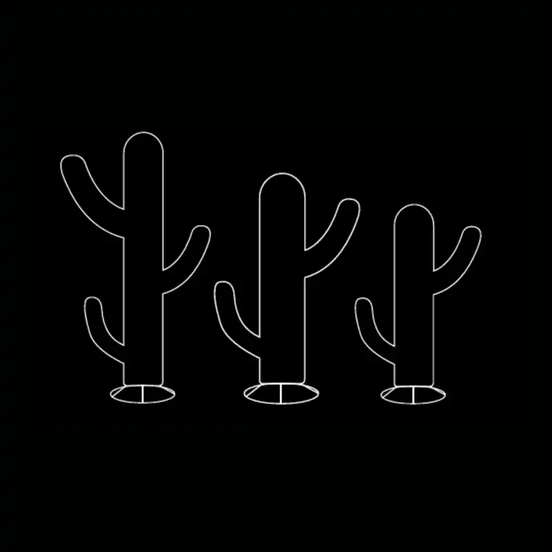 Cactus — dessin technique