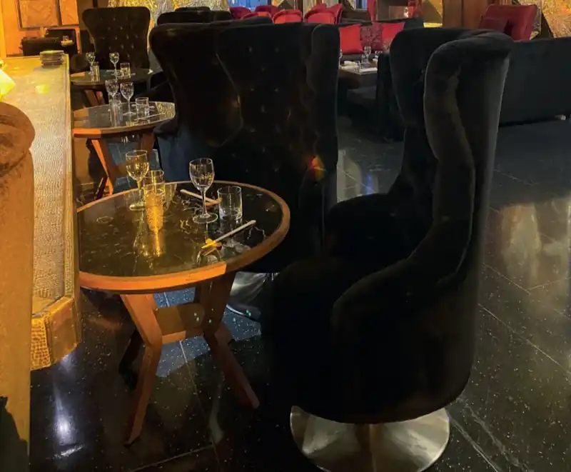 Fauteuil Tulipe — photo