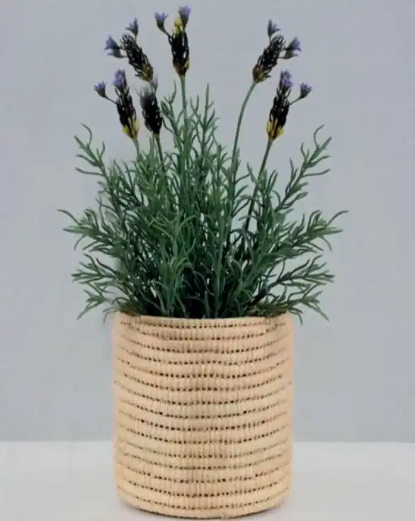 Petit panier raffia — photo