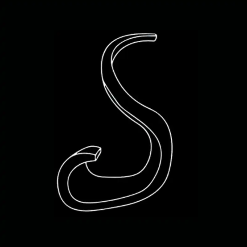Pied cobra géant — dessin technique